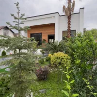 300-زمین-نزدیک-ساحل-و-جنگل-سند-تک-برگ