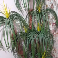 درخچه اپارتمانی|گل مصنوعی|محمدیه-قزوین, |دیوار