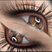 مدل میکرو ابرو شید لب بن مژه خطچشم|خدمات آرایشگری و زیبایی|تهران, سعادت‌آباد|دیوار