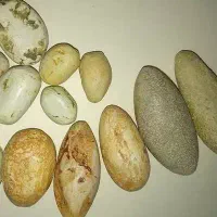 اصلی|جواهرات|مشهد, عنصری|دیوار