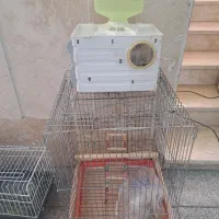 قفس و لانه پرنده و همستر