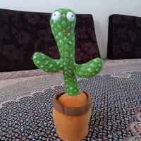 کاکتوس سخن گو