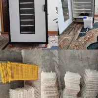 قفس/پرنده/مرغ/جوجه/دستگاه جوجه کشی