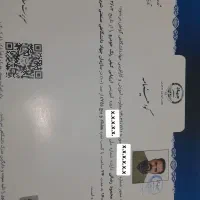 کارشناس رنگ وبدنه خودرو  در محل