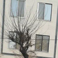 اجاره خانه دوبلکس دربست|اجارهٔ خانه و ویلا|هشتگرد, مدرس|دیوار