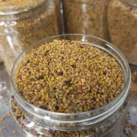 فروش گرده گل بهاری