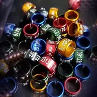 تولید پلاک کبوتر و انواع پردگان