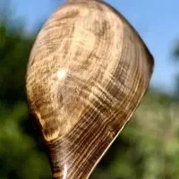 تنبور کاسه ای سه مهر کلکسیونی