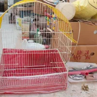 قفس پرنده..بزرگ