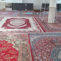 انواع فرش مسجد قالی و قالیچه|فرش|تایباد, |دیوار