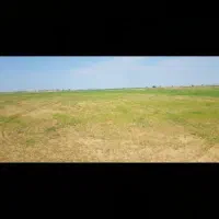 50 هکتار زمین تسطیح برای اجاره