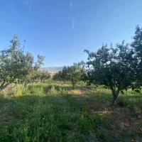 باغ|فروش زمین و ملک کلنگی|فندقلو, |دیوار