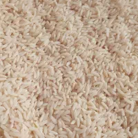 برنج هاشمی چقلوندی|خوردنی و آشامیدنی|بیرانوند, |دیوار