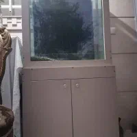 آکواریوم سه تیکه اسکلتدار با وسایل|ماهی|تالش, تالش|دیوار