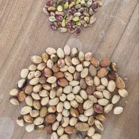 خریدار پسته شما