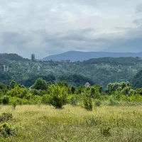 مشارکت در ساخت و تهاتر|مشارکت در ساخت املاک|رامسر, |دیوار