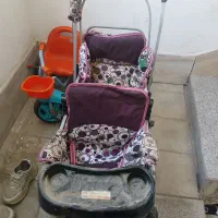 گالسکه|کالسکه و لوازم جانبی|شیراز, کوشک میدان|دیوار