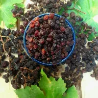 کشمش|خوردنی و آشامیدنی|جوین, |دیوار