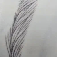 آموزش میکروبلیدینگ خصوصی و نیمه خصوصی(۳ نفره)