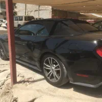 دربستی به تمام شهر ها