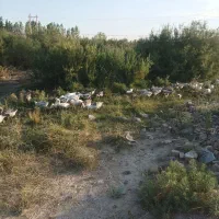 غاز|حیوانات مزرعه|بستان آباد, |دیوار