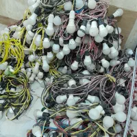 فروش کلی ریسه