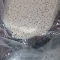 شاه برنج امساله