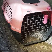 باکس حیوان خانگی|لوازم جانبی حیوانات|تهران, بازار|دیوار