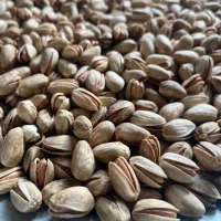 پسته اکبری|خوردنی و آشامیدنی|مشهد, نیروی هوایی|دیوار