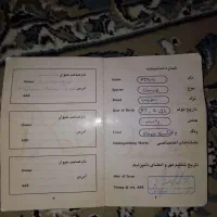 واگذاری توافقی|سگ|نورآباد ممسنی, |دیوار