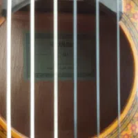 گیتار c40|گیتار، بیس، امپلیفایر|سنندج, |دیوار