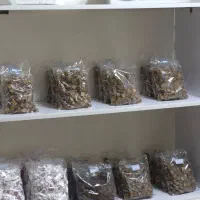 قند جوین|خوردنی و آشامیدنی|رشت, معلم|دیوار