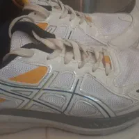 کتونی اسیکس|کیف، کفش، کمربند|اسفراین, |دیوار