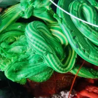 گرانول پی وی سی مرغوب جهت شلنگ و کابل|عمده‌فروشی|قرچک, امین آباد|دیوار