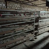 قفسه سه طبقه|لوازم جانبی حیوانات|سبزوار, اسلام آباد|دیوار