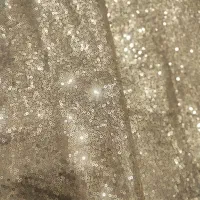 رانر پولکی وارداتی