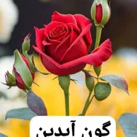 فروش فوری وام مهربانی ملی