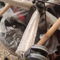 ترولی|آرایشگاه و سالن‌های زیبایی|لاهیجان, لیالستان|دیوار