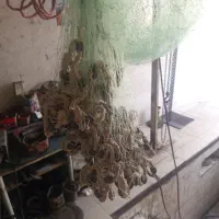 تور پرتابی یا سالیک