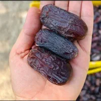 خرمای مجهول اصل با ارسال سراسری