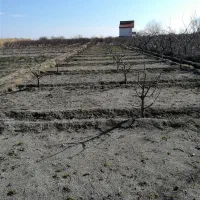 شخم زنی علف زنی باغ باغچه|خدمات باغبانی و درختکاری|ارومیه, |دیوار