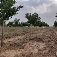 فروش باغ در بینالود ایران خودرو خراسان|فروش زمین و ملک کلنگی|ملک‌آباد, |دیوار