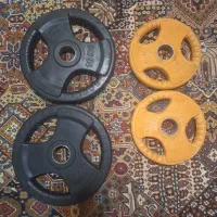 وزنه صفحه فرمونی ۳۰ کیلو