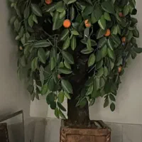 درخت مصنوعی پر برگ و میوه