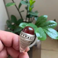 فدیوم تهران رسول
