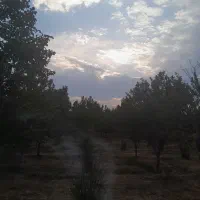 فروش زمین ویلایی|فروش خانه و ویلا|ممقان, |دیوار