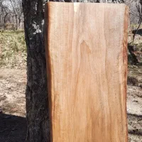 تخته چوب گردو