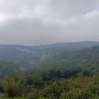 زمین مسکونی خرید