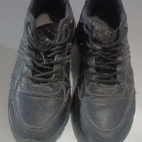 کفش کار|کیف، کفش، کمربند|مشهد, طبرسی شمالی|دیوار