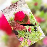 هنردست|صنایع دستی و سایر لوازم تزئینی|فاضل آباد, |دیوار